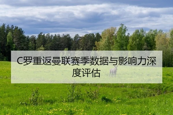 luo-chong-fan-man-lian-sai-ji-shu-ju-yu-ying-xiang-li-shen-du-ping-gu-2-799.jpg
