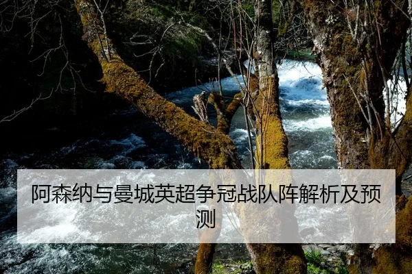 阿森纳与曼城英超争冠战队阵解析及预测