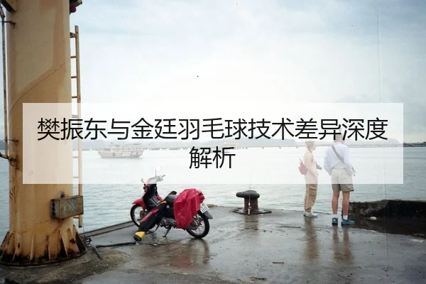 樊振东与金廷羽毛球技术差异深度解析